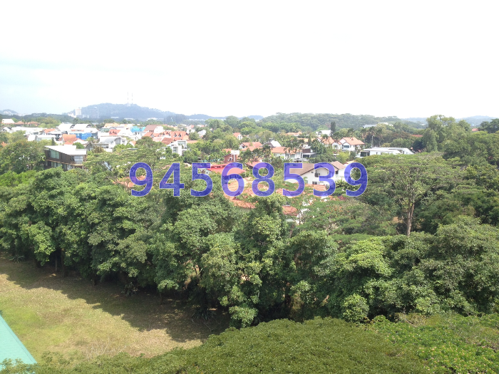 Ghim Moh Road thumbnail photo